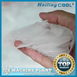 20T/Day China Flake Ice Machine for Seafood market