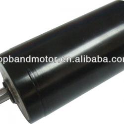 24V DC brush motor