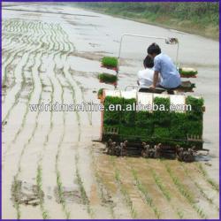481 high efficiency eight lines rice transplanter machine