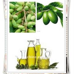6yl-130A Vegetable Olive Oil Cold Press Machine