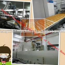 8-9t/d Full Automatic cake making machine