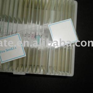 91 Pcs Various Glass Prepared Microscope Slides