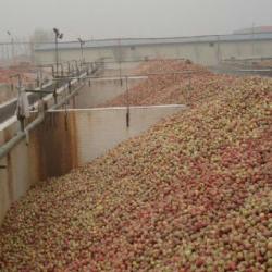 apple juice processing machine