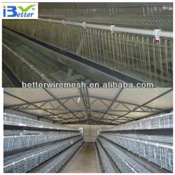 auto design layer chicken cages for Poultry Farm