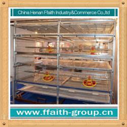 automatic H type broiler chicken cage design