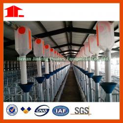 Automatic pig feeding equipment