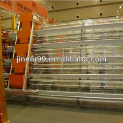 automatic poultry layer cages systems