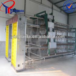 automatic poultry layers cages system