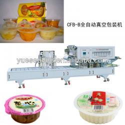 Automatic Vacuum Packaging Machine