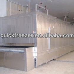 Band belt individual tunnel freezer