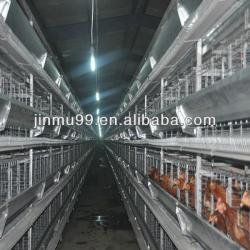 battery chicken layer cage