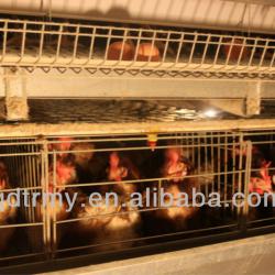 Battery type Poultry farming equipment for layer