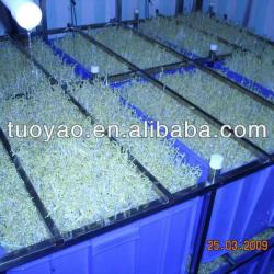 Bean processing machinery / Automatic Soybean Sprout machine