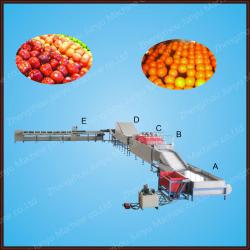 Best price and best quality commercial fruit washing machine