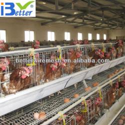 Best selling BT factory A-128 battery cages for layers(Welcome to Visit my factory)