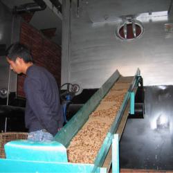 biomass boiler