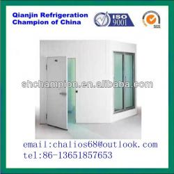 blast freezer for restaurant