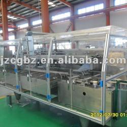 Blister Strip Cartoning Packing Machine (CM380)