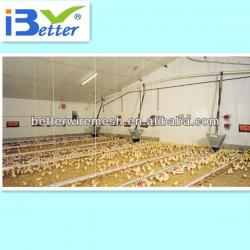 BT factory poultry farming equipment for broiler chicken