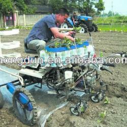 Cabbage seedling transplanter