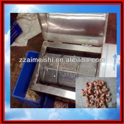 cashew kernel grading machine