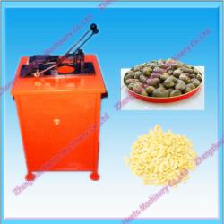 Cashew Nut Processing Machine