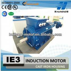 Cast Iron Three Phase IE3 Electric Motor