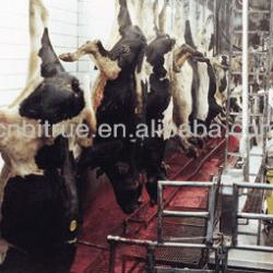 CATTLE/BEEF SLAUGHTERING PLANT