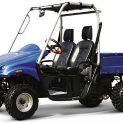 Cheap LG 250cc Everest UTV 4 Stroke Utility Vehicle from USA