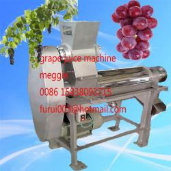 cheap price 304 stainless steel grape juice extractor/grape juicer machine/grape juice making machine/Celery juice machine