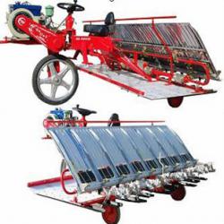 China paddy rice transplanter