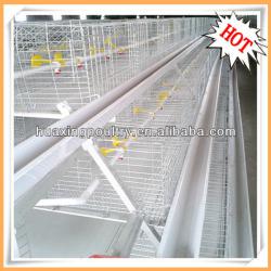 China popular poultry cage