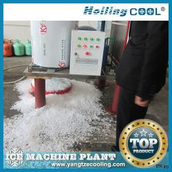 China Sea water ice maker 1500kg/day for food processing