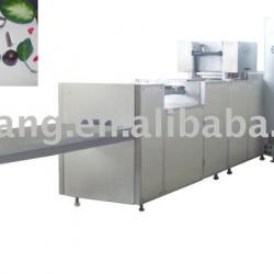 chocolate moulding machine