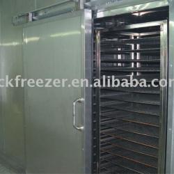 cold blast drying equipment DGZ series