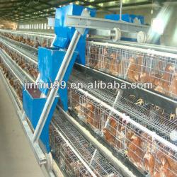 commercial chicken rearing cage poultry equipment
