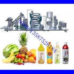 Complete Fruit Juice Processing Line (Hot Sale)