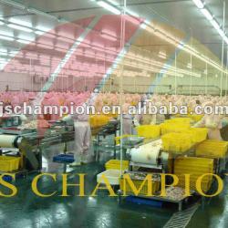 Complete Poultry Slaughter House machinery
