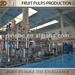 Concentrated fruit puree production line, puree machine