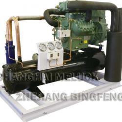 Condensing Units for refrigeration cold room (Bitzer Two-stage Compressor)