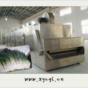 Convey Belt Dryers For Welsh Onion / Chinese Onion