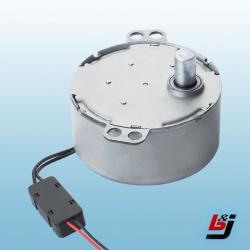 DC 6V Synchronous Motor