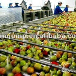 Different investment Apple/ pear Processing line