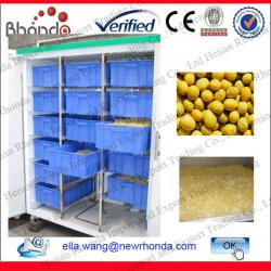 Direct Manufacture Bean Sprout Growing Machine Also Grow Green Bean