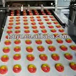 double color cookies depositing machine