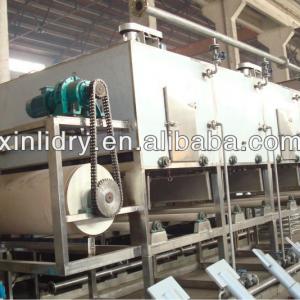 DW Conveyor mesh belt dryer