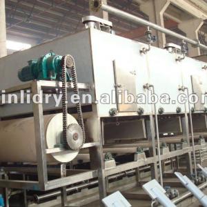 DW Copra belt dryer