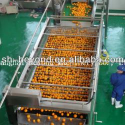 fresh fruit orange processing line