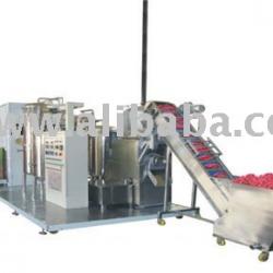 Fresh raw juice plant and processing machine