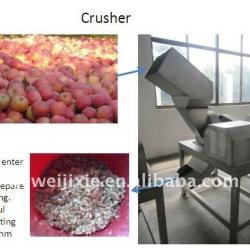 Fruit crushing mill/grinder